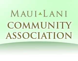 The County of Maui allows the use of fireworks on Independence Day, July 4, 2025, from 1:00 p.m. to 9:00 p.m. Check the Maui County website for more information on ...